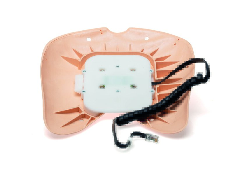 Inner part of chest cover SRA