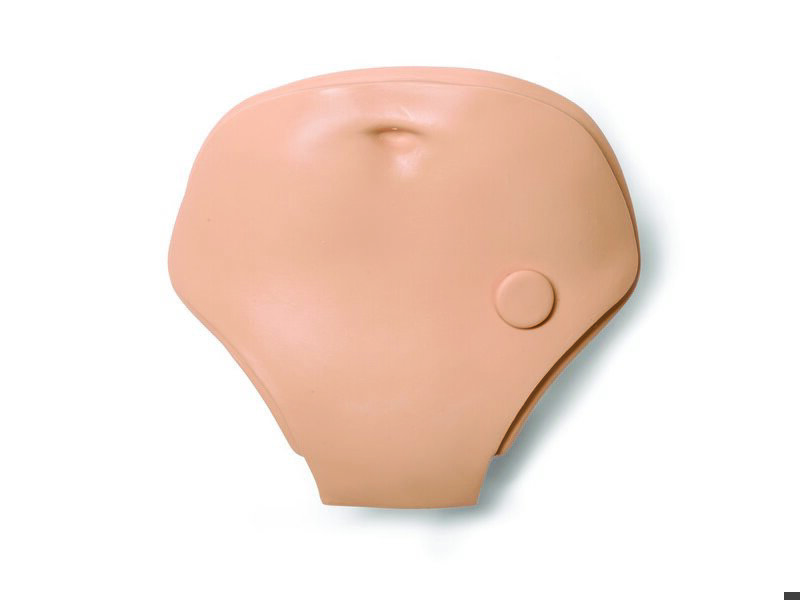 Belly Plate, Adult Female, 1 Hole