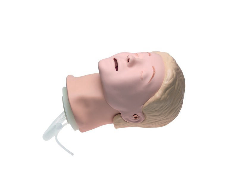 Resusci Anne Basic Head Complete