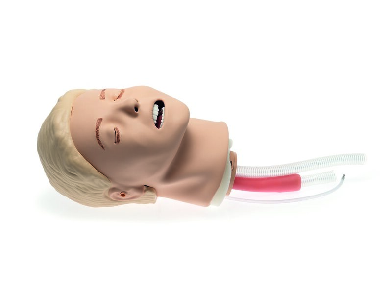 Resusci Anne Airway Head Upgrade Kit