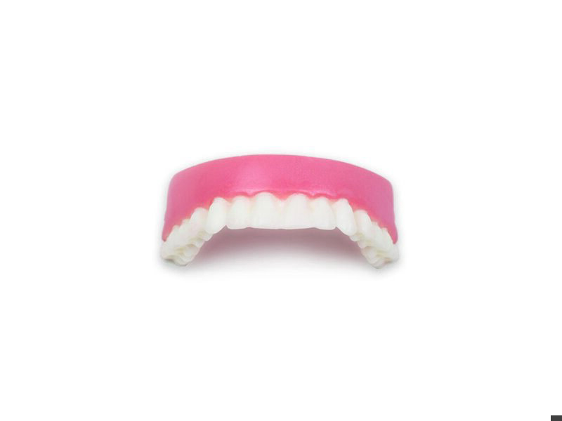 Upper Teeth Nursing Anne Simulator