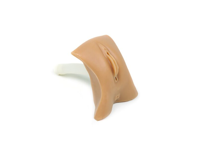Weibliches Genital Nursing Anne Nursing Anne Simulator