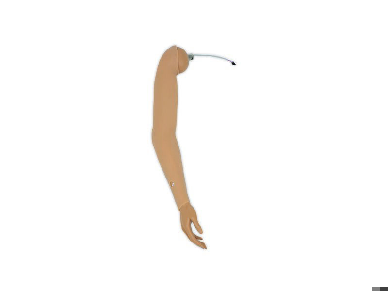 BP Arm Assy- Right (Med) Nursing Anne Simulator