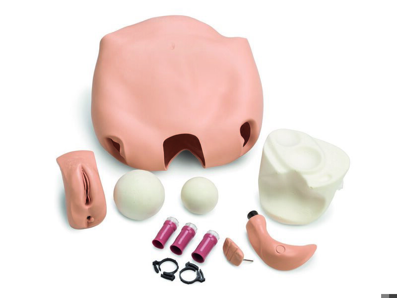 Fundus Skills and Assessment Module Light