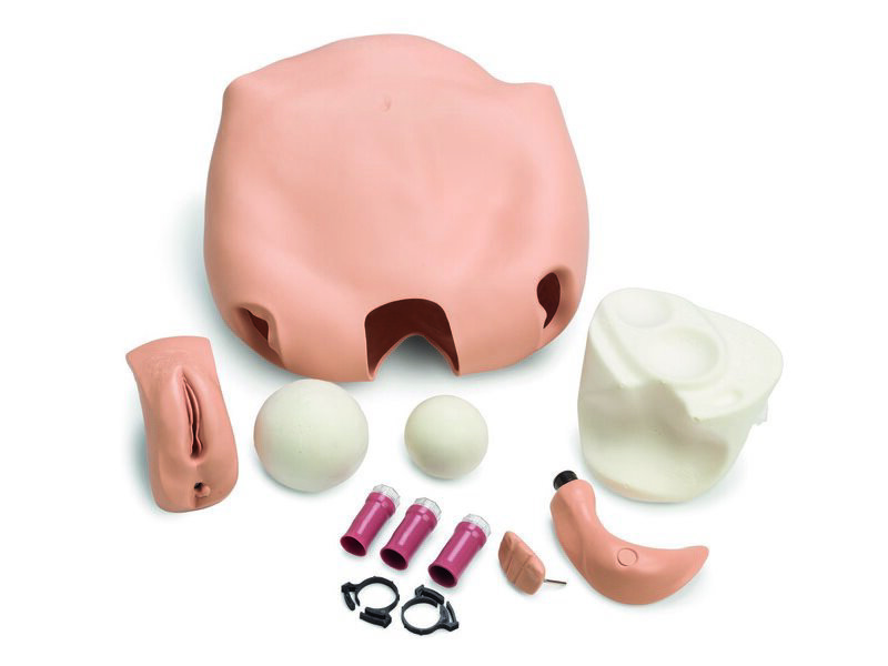 UPGRD; FUNDUS NSG ANNE STD