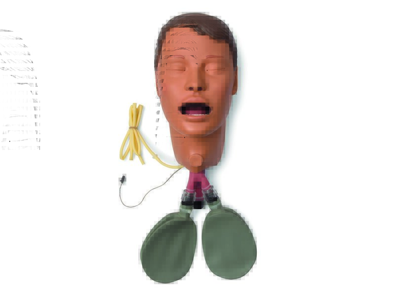 HEAD; AF-SPAD TRACH (T) FEMALE HOSPITAL
