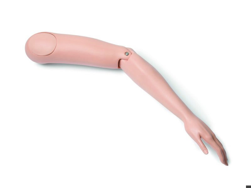 左腕(女性)