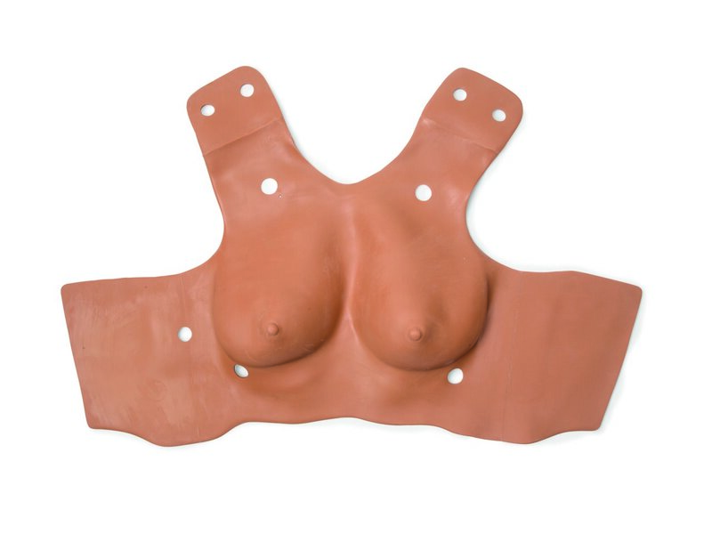 Chest Skin, Adult Female, Tan