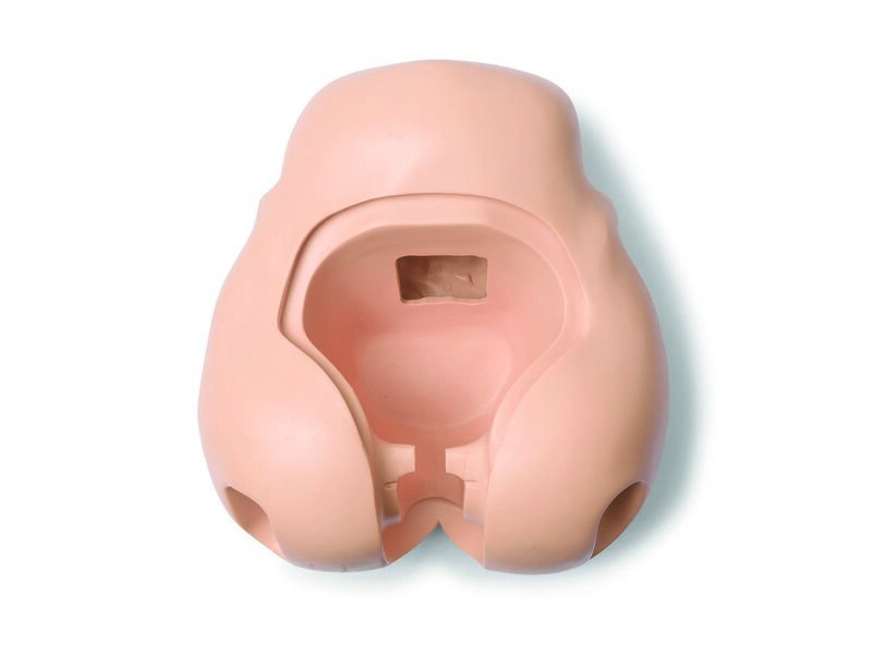 PELVIS; AFH-NO BRDGE (S) ADULT FEMALE HOSP