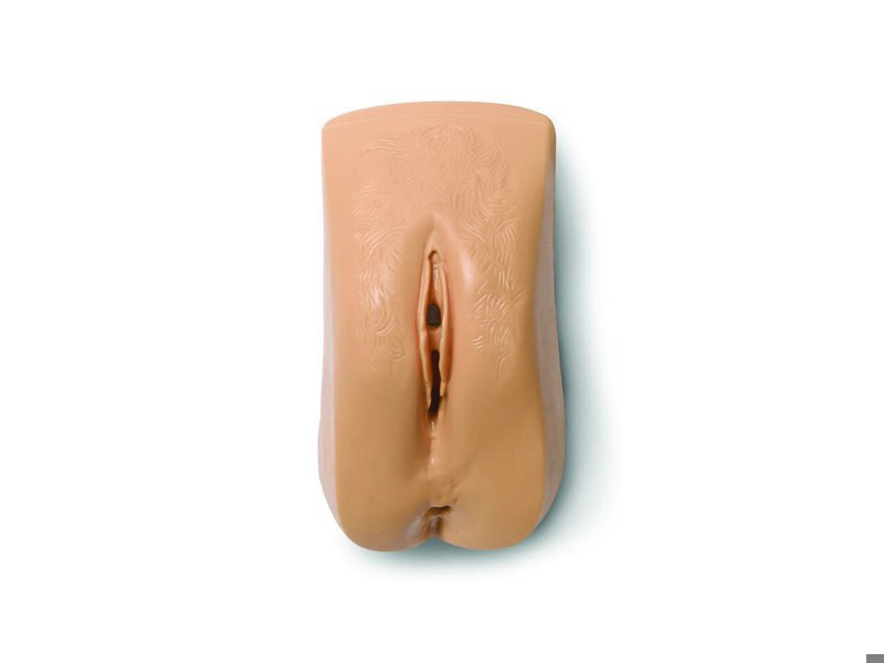 Female Genitalia Light