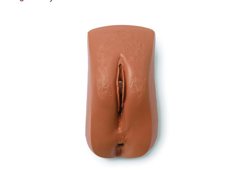 Female Genitalia, Adult, Tan Skin