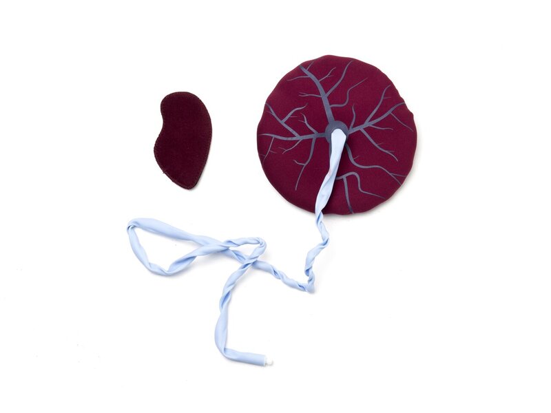 MamaNatalie Placenta Kit