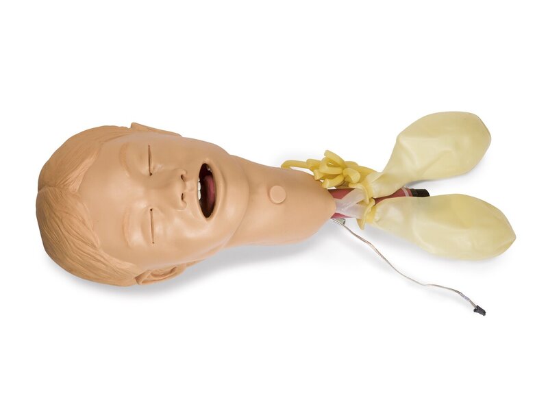HEAD; PEDI S-PAD (S)