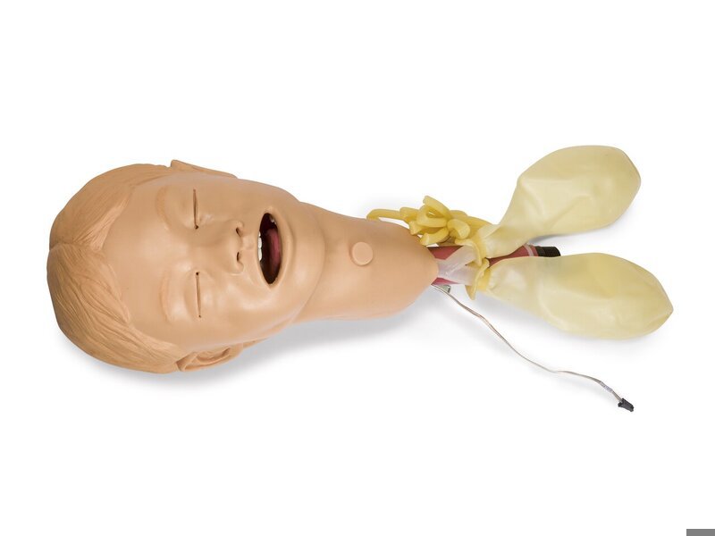 HEAD; PEDI S-PAD (S)