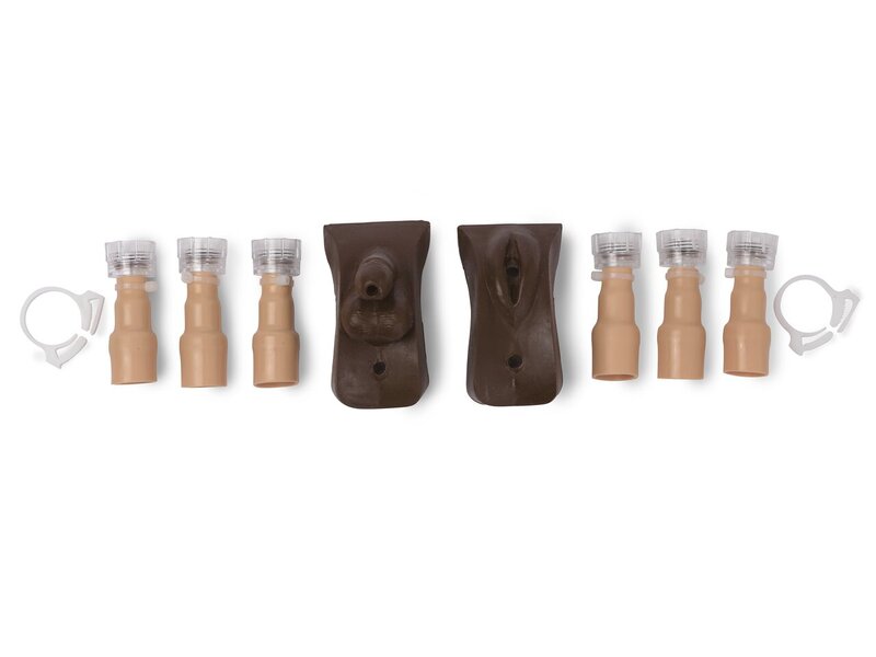 Pediatric Genitalia Kit, Brown