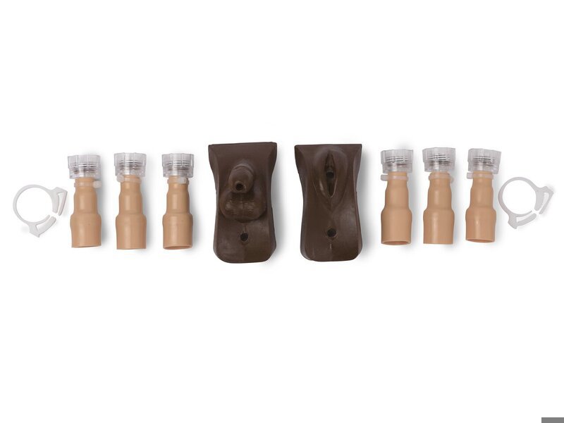 Pediatric Genitalia Kit Dark