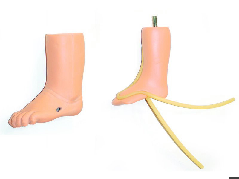 INFANT IV LEG (S)