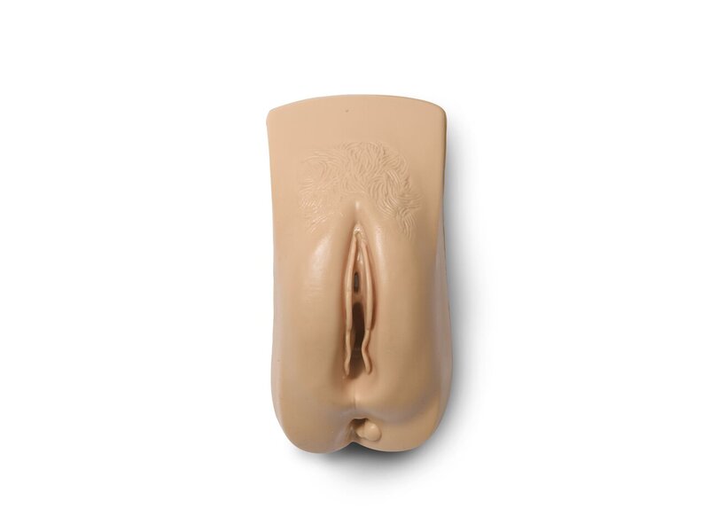 Genital für Fundus-Modell (hellhäutig)