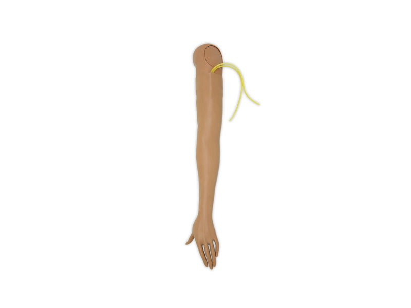 ARM; L-MULTIVEIN-FEM (M) 