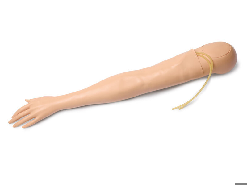Multi-Venous Arm, Adult Female, Left Light