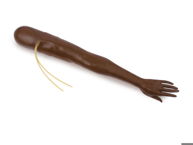 ARM; L-MULTIVEIN-FEM (B)