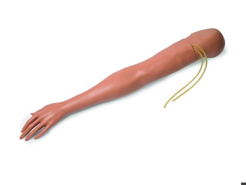 Multi-Venous Arm, Adult Female, Left, Medium