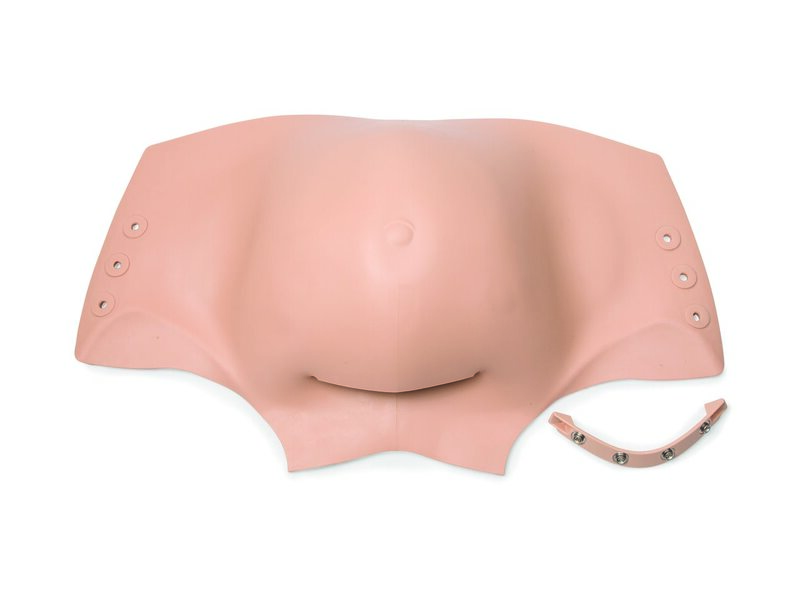 Gravid Abd C-Snaps/Clamp