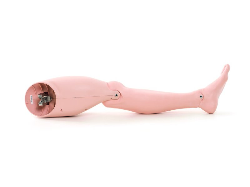 Leg assy, left