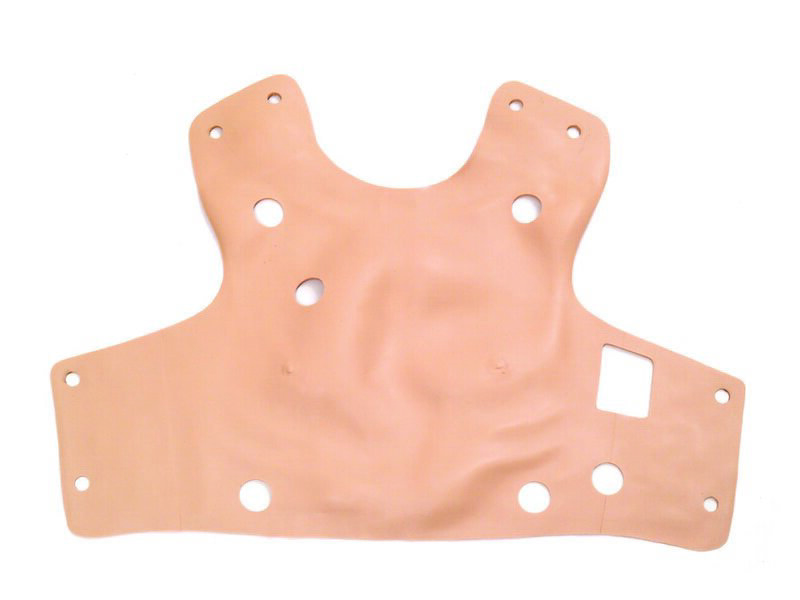 SKIN; CHEST-SIMMAN WITH THORACENTESIS-STD