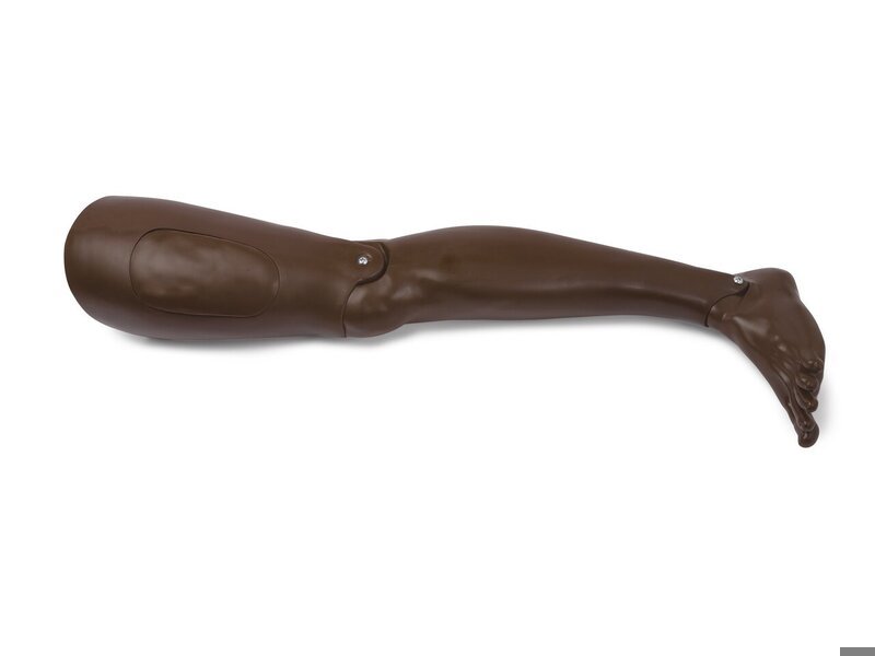 LEG; LEFT ADULT (B)