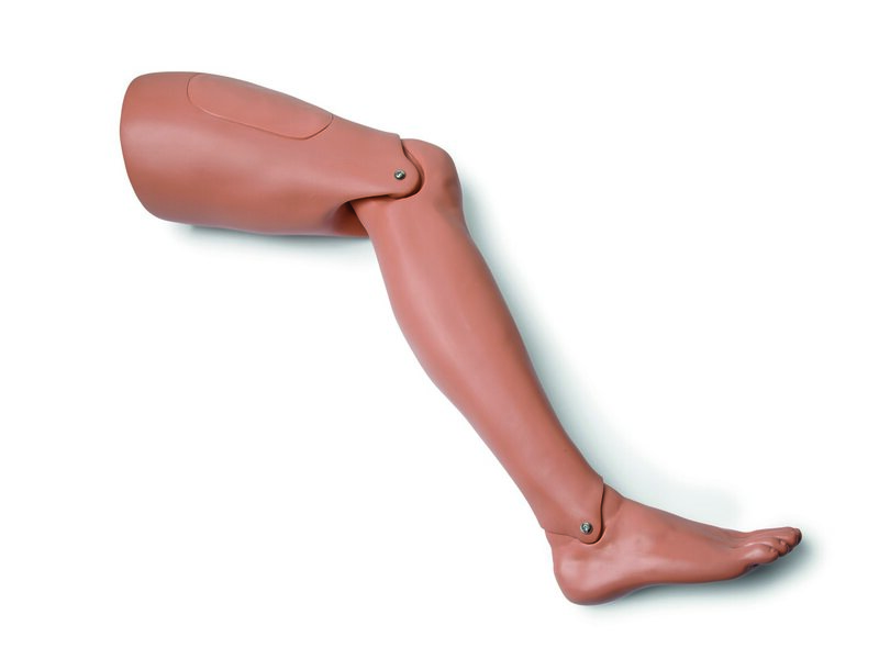 Leg Assembly, Left Adult Medium