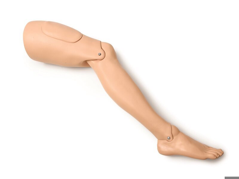 Leg Assembly, Right Adult Light