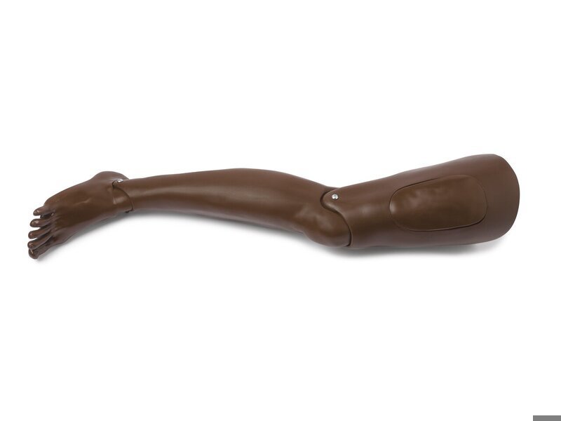 LEG; RIGHT ADULT (B)