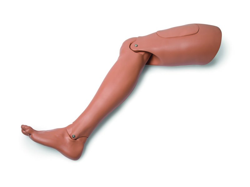 Leg Assembly, Right Adult, Tan