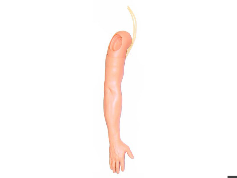 Multi-Venous IV Training Arm Light