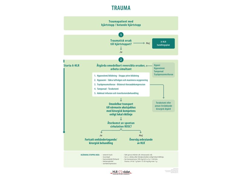 Trauma Wall Poster 