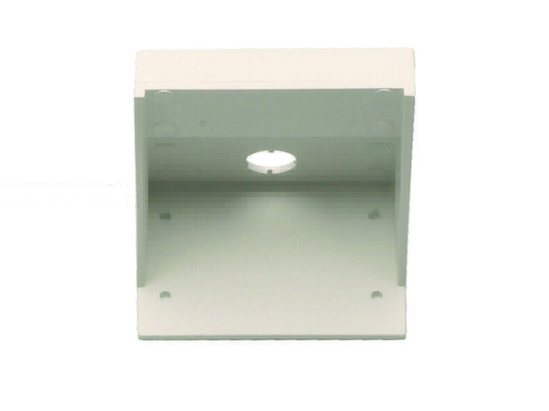 Wall mount, Adult Display Case
