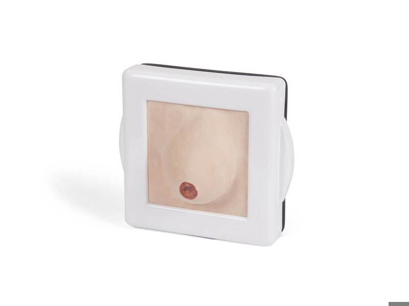 Examination & Diagnostic Breast Trainer