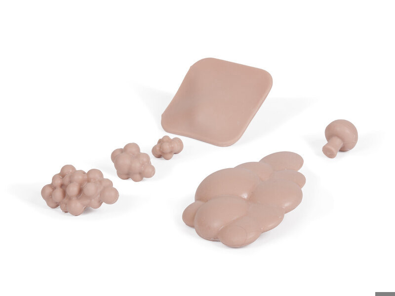 Breast Pathologies for Breast Exam Trnrs