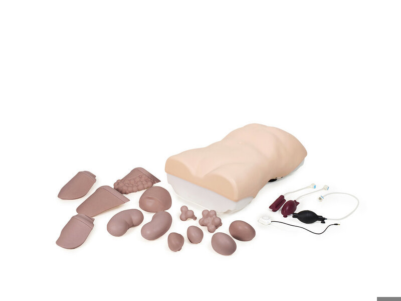 Abdominal Examination Trainer