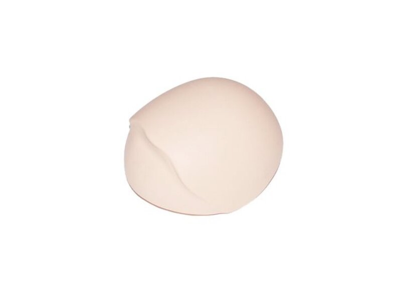 Distended Bladder for Examination Trainer