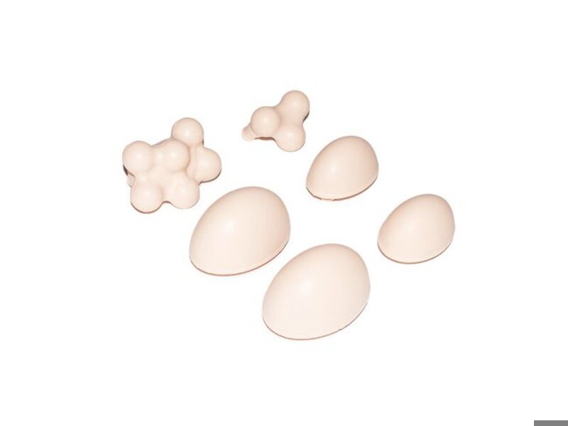 6 Pathologies Set for Examination Trainer