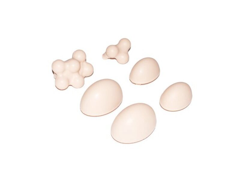 6 Pathologies Set for Examination Trainer