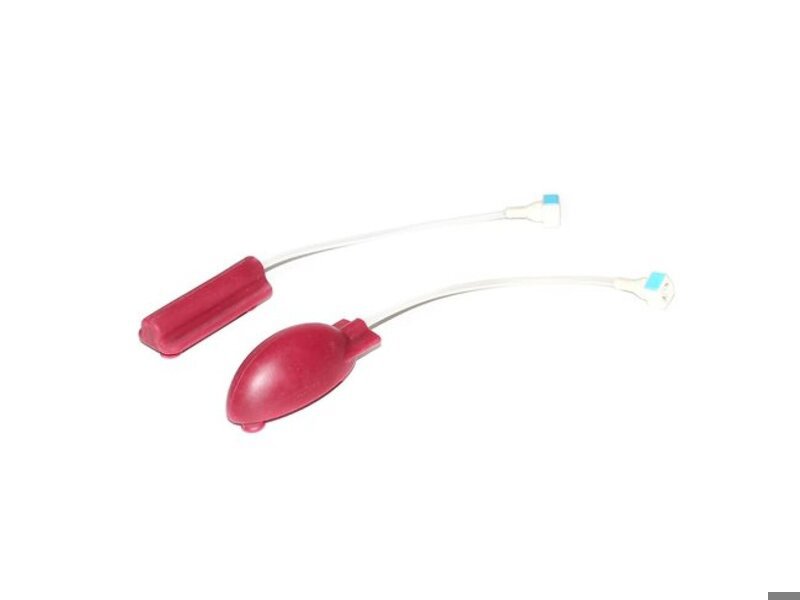 Aortas 2 Set for Examination Trainer