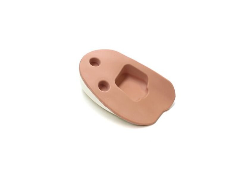 Abdominal Examination Foam Left Kidney Insert