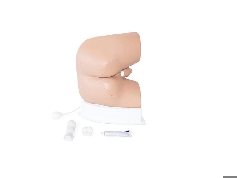 Std Male Rectal Exam. trainer - Light