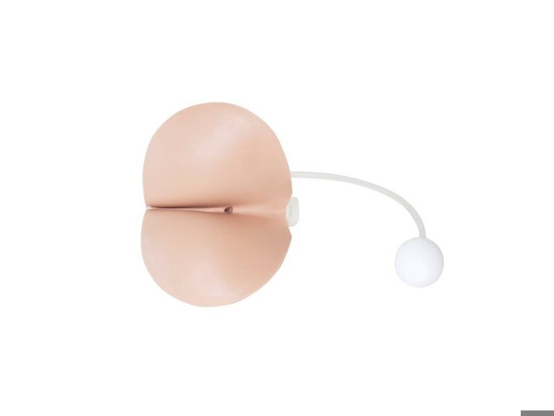 Normal Perineum Male Rectal Exam Trnr