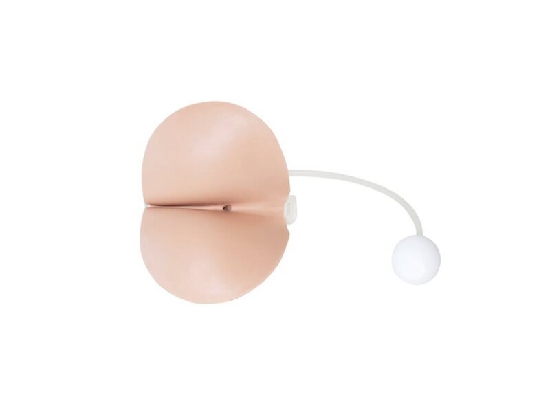 Normal Perineum Male Rectal Exam Trnr