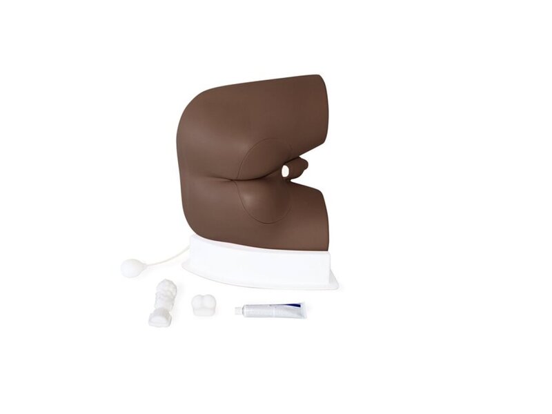 Male Rectal Examination Trainer Standard - Dark
