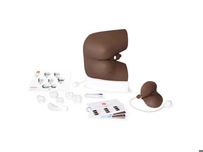 Male Rectal Examination Trainer Advanced - Dark